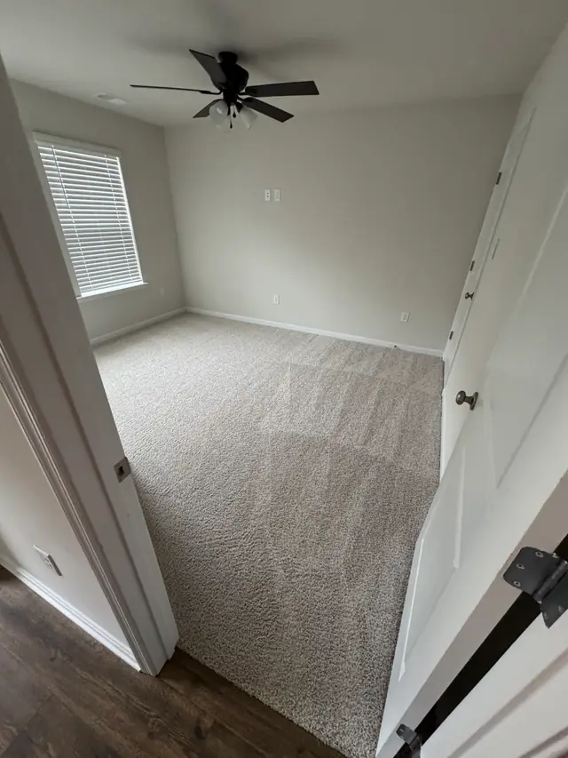 Freshly cleaned shag carpet in an empty bedroom with clean grooming lines